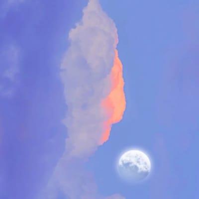 โปรเซียนสล็อต avatar