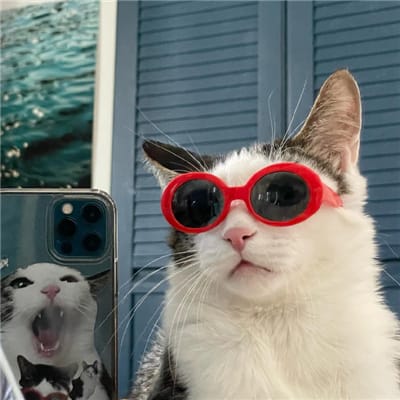 สายลุ้นโชค avatar