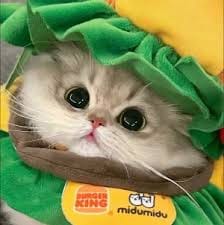 พี่บอย ใจดี avatar