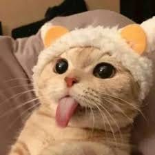 นักล่าโบนัส avatar